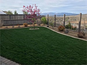 Lawn Care, Washoe Valley, NV