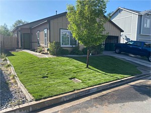 Landscape Design, Incline Village, NV