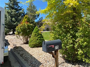 Landscaping, Carson City, NV
