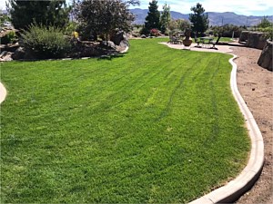 Landscaping, Washoe Valley, NV