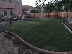Lawn Care, Gardnerville, NV