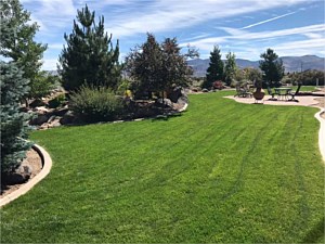 Lawn Care, Incline Village, NV