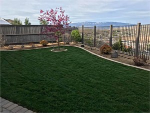 Lawn Care, North Reno, NV