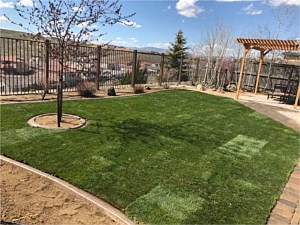 Lawn Care, Reno, NV